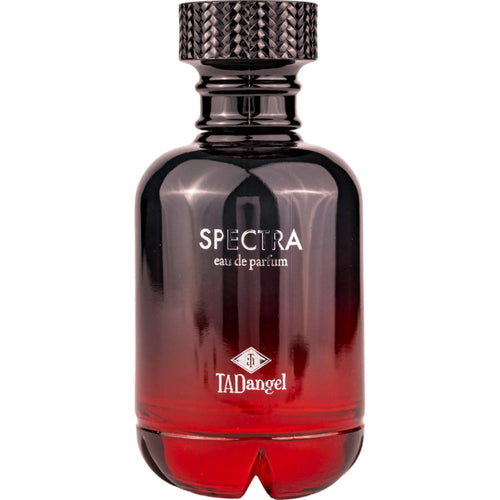 Tad Angel Spectra Homme EDP 100ml